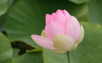 5 việc cần phải có trong đời